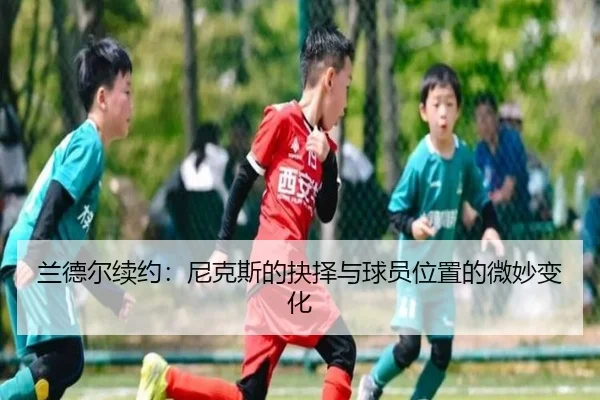 lan-de-er-xu-yue-ni-ke-si-de-jue-ze-yu-qiu-yuan-wei-zhi-de-wei-miao-bian-hua-2-197.jpg